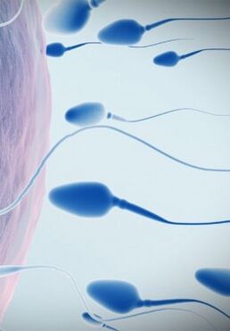 spermogram ցածր ուժով